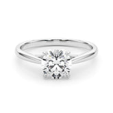 Solitaire Rounds - TN85325